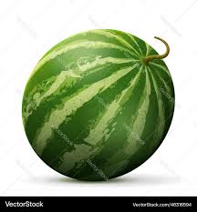 watermelan